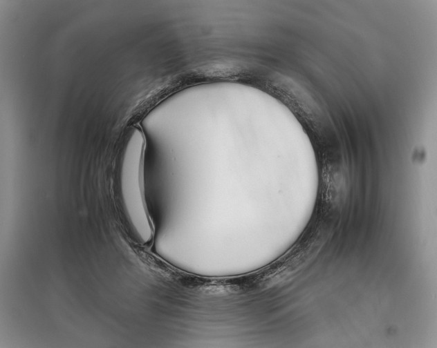 X0000097300404200803141537