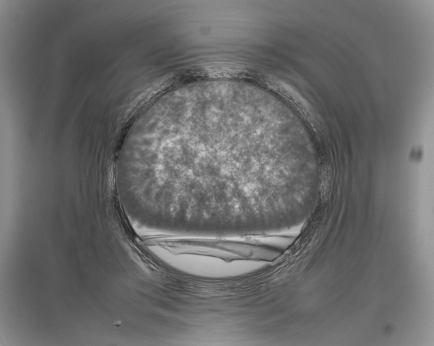 X0000097300405200803141537