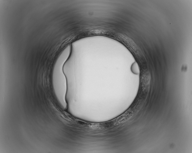 X0000097300406200803141537