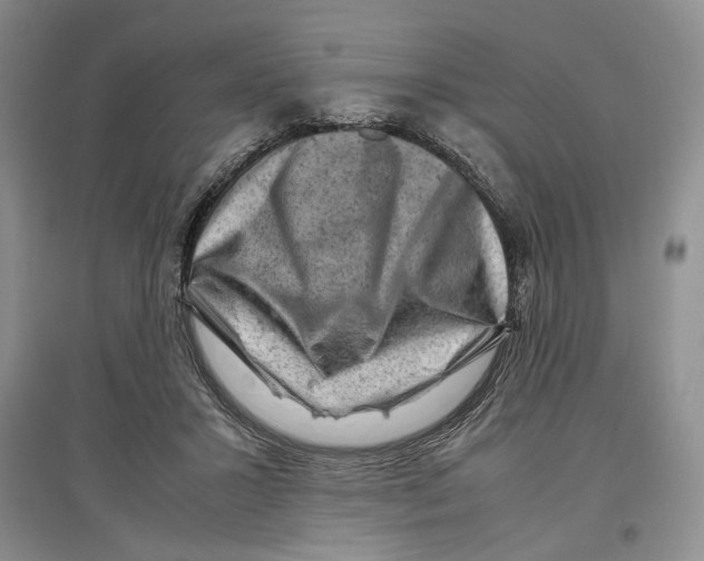 X0000097300407200803141537