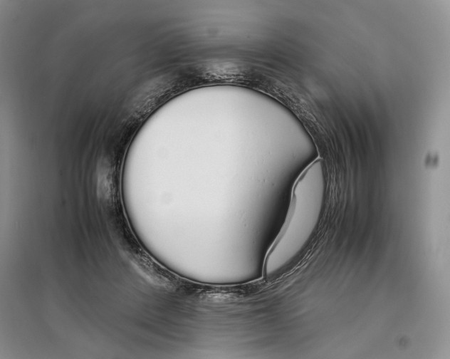 X0000097300408200803141537