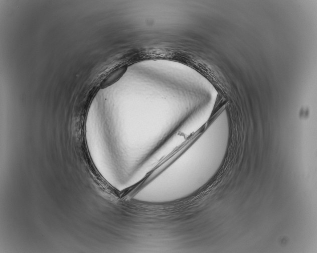 X0000097300409200803141536