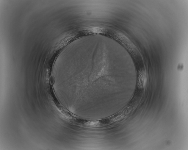 X0000097300410200803141536