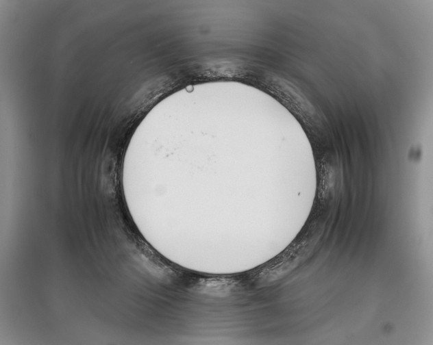 X0000097300414200803141536