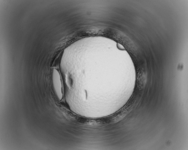 X0000097300416200803141536