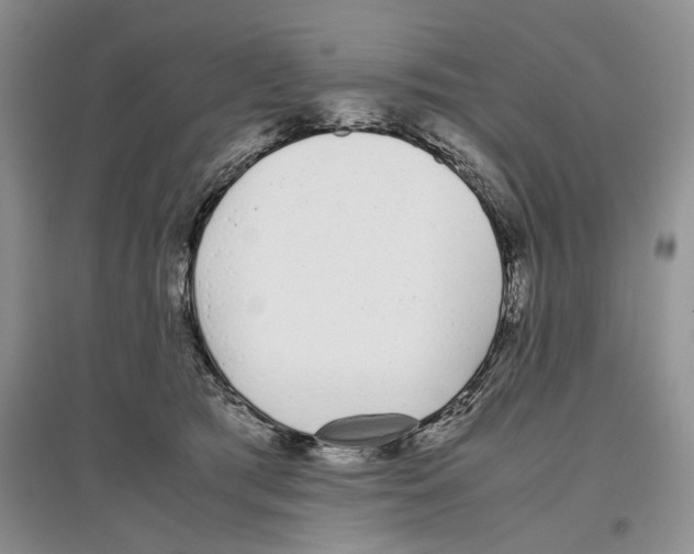 X0000097300417200803141536