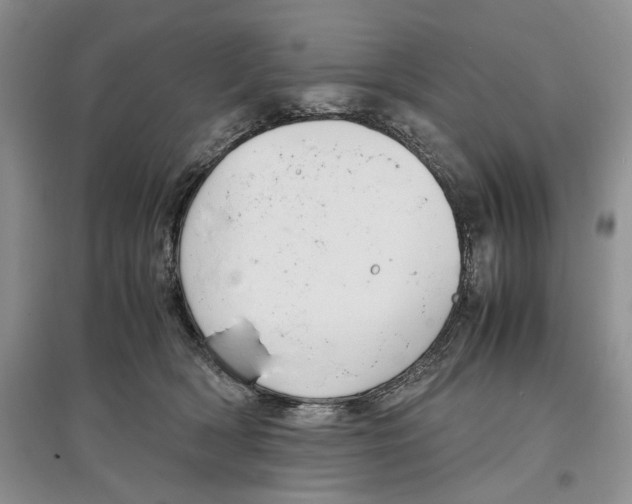 X0000097300418200803141536