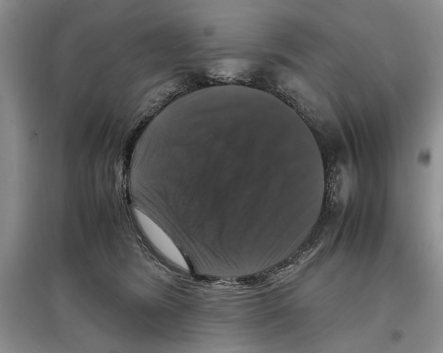 X0000097300420200803141536
