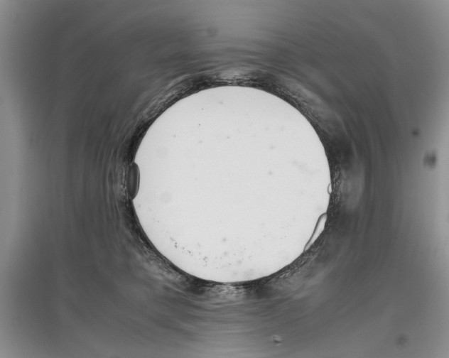X0000097300421200803141536