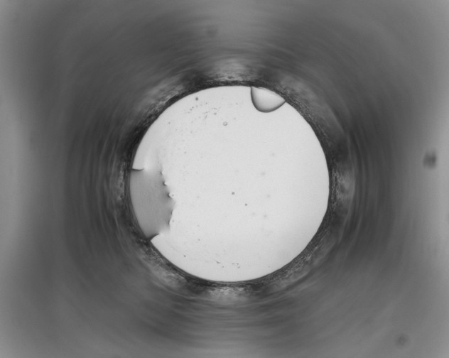 X0000097300422200803141536