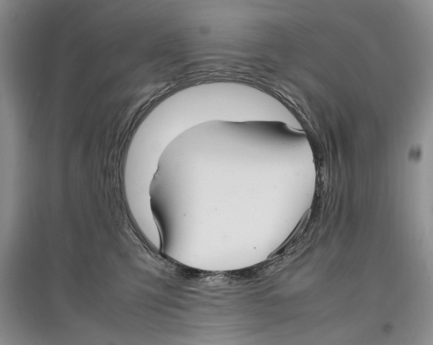 X0000097300423200803141536