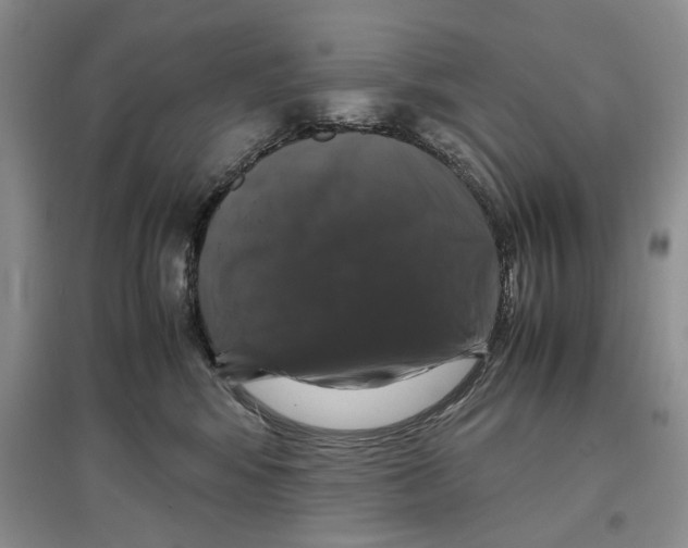 X0000097300424200803141536