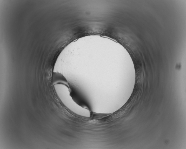 X0000097300425200803141536