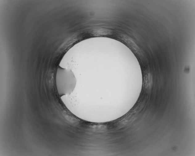 X0000097300426200803141536