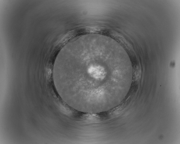 X0000097300427200803141536