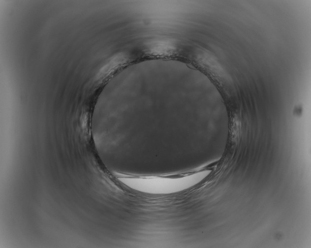 X0000097300428200803141536