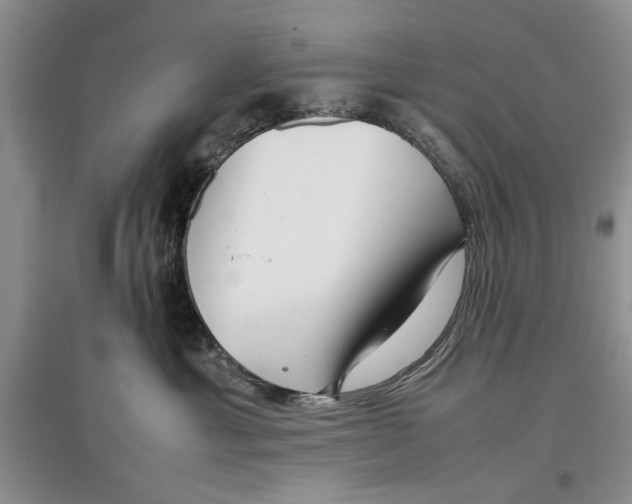 X0000097300429200803141536