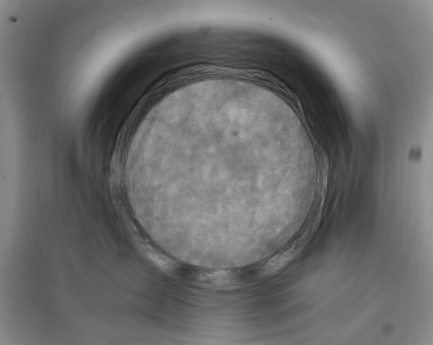 X0000097300431200803141536