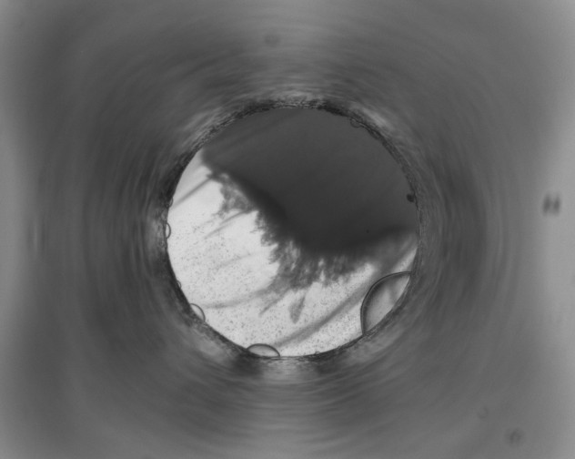X0000097300432200803141536
