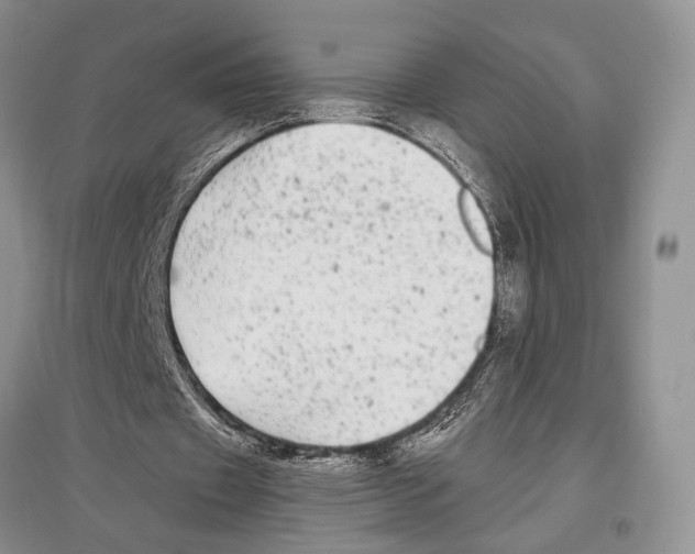 X0000097300433200803141536