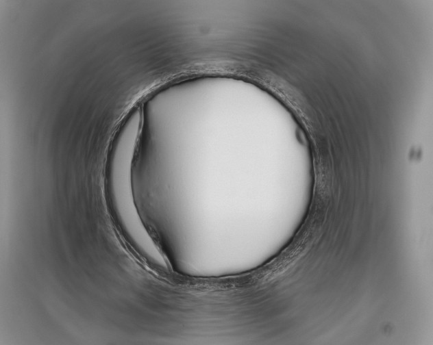 X0000097300434200803141536