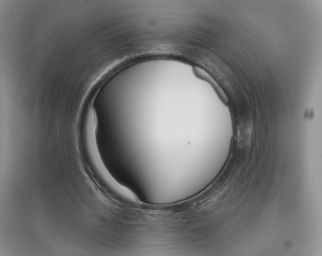 X0000097300436200803141536