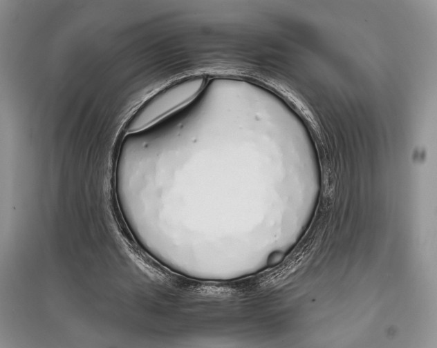 X0000097300437200803141536