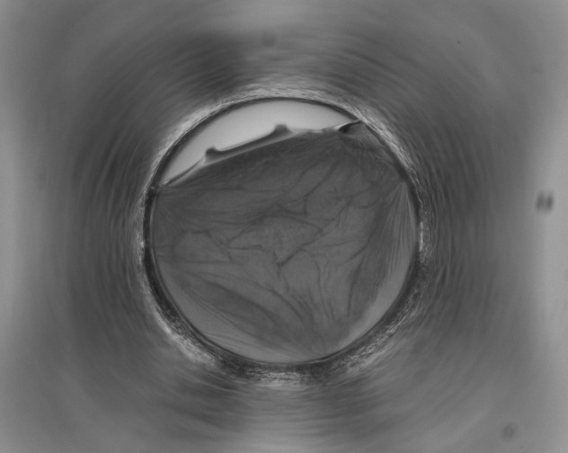 X0000097300438200803141536