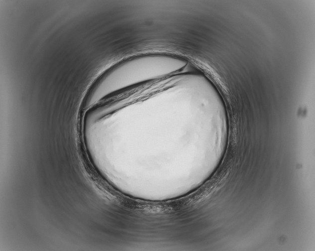 X0000097300439200803141536