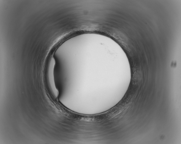 X0000097300440200803141536