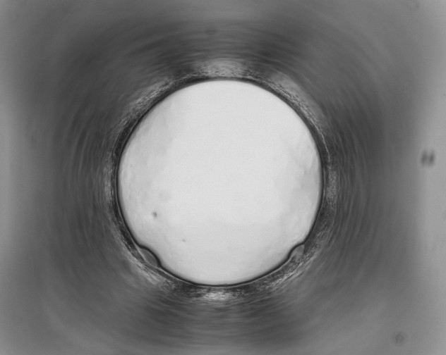 X0000097300441200803141536
