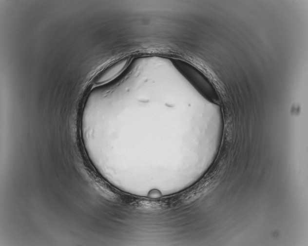 X0000097300442200803141536