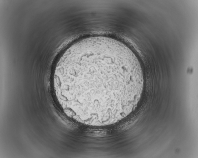 X0000097300443200803141536