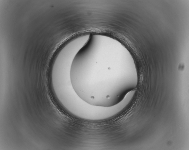 X0000097300444200803141536