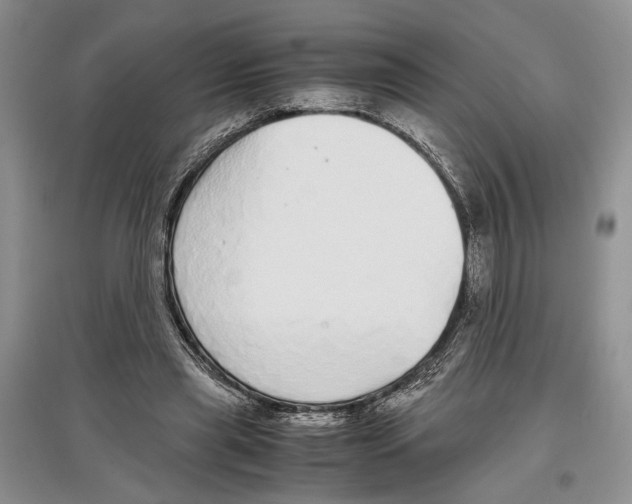 X0000097300445200803141536