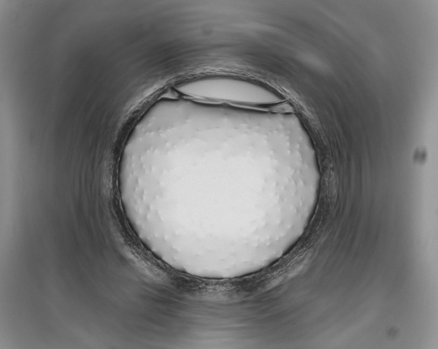 X0000097300446200803141536
