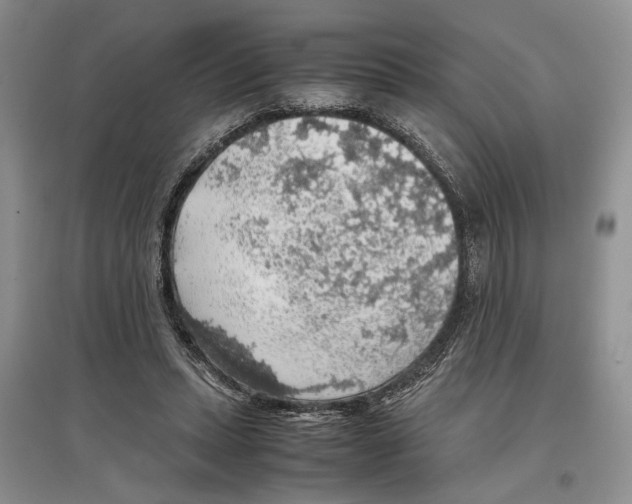 X0000097300447200803141536