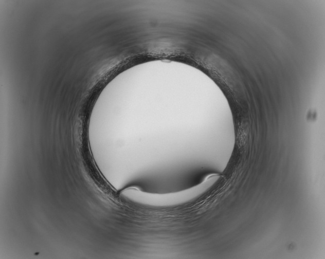 X0000097300448200803141536