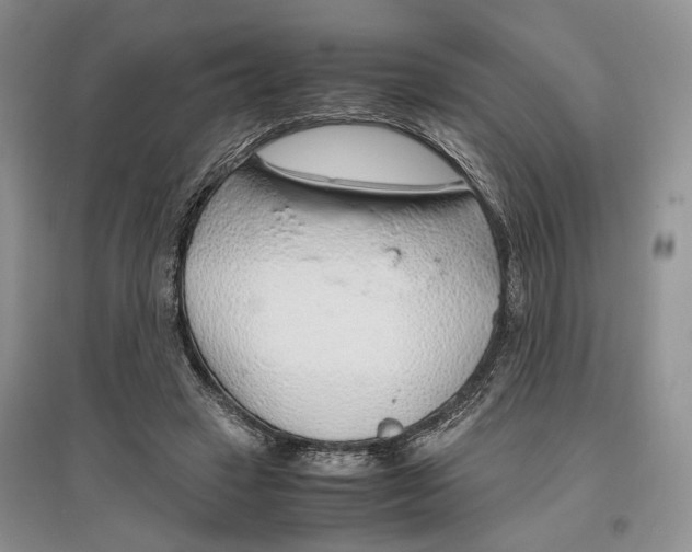 X0000097300449200803141536