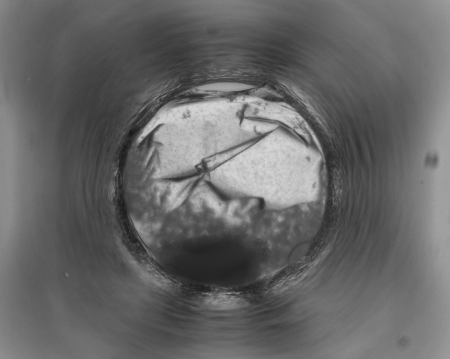 X0000097300451200803141536