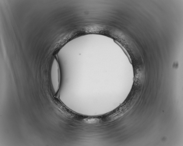 X0000097300452200803141536