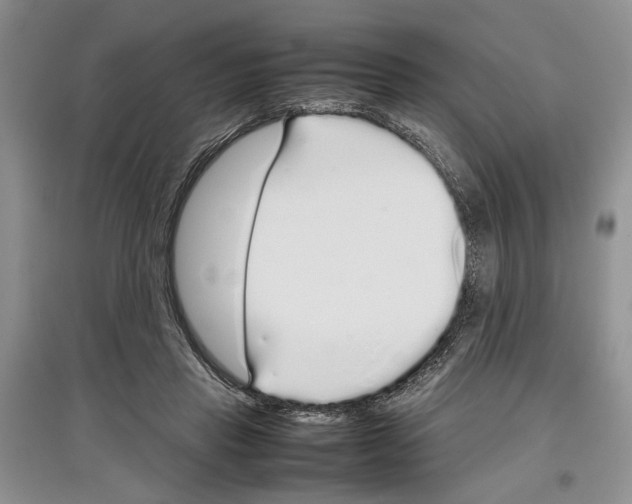 X0000097300453200803141536