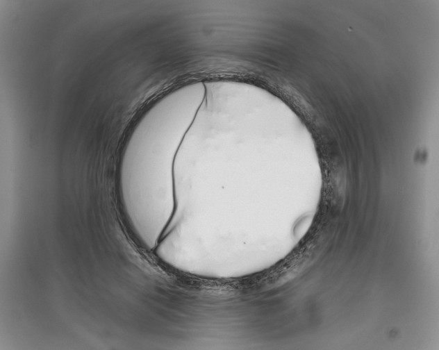 X0000097300454200803141536