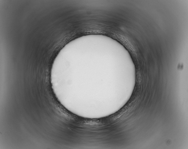 X0000097300457200803141536
