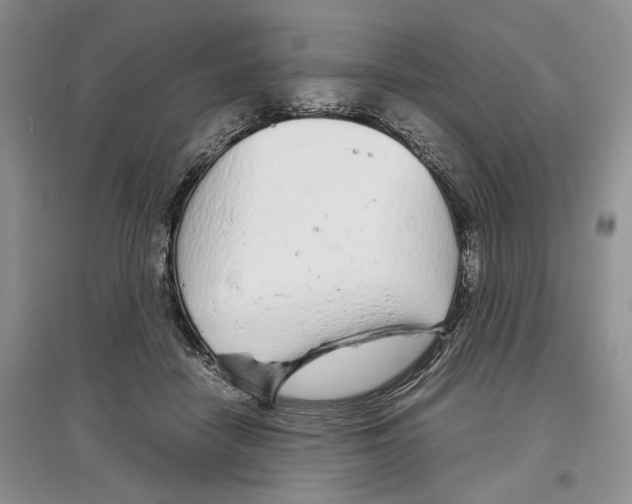 X0000097300458200803141536