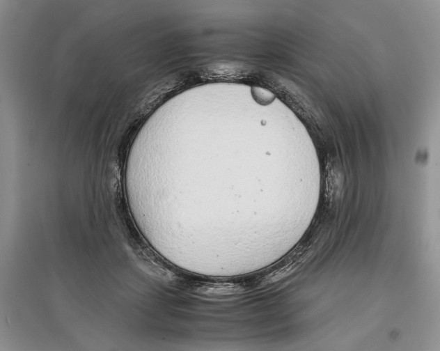X0000097300459200803141536