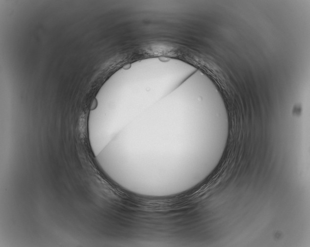 X0000097300461200803141536