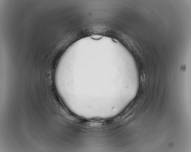 X0000097300462200803141536