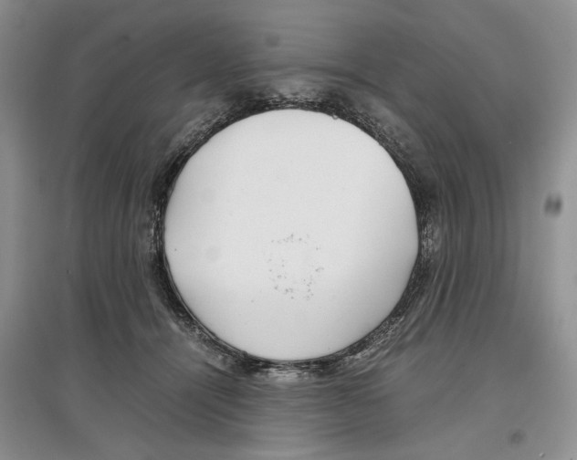 X0000097300464200803141536