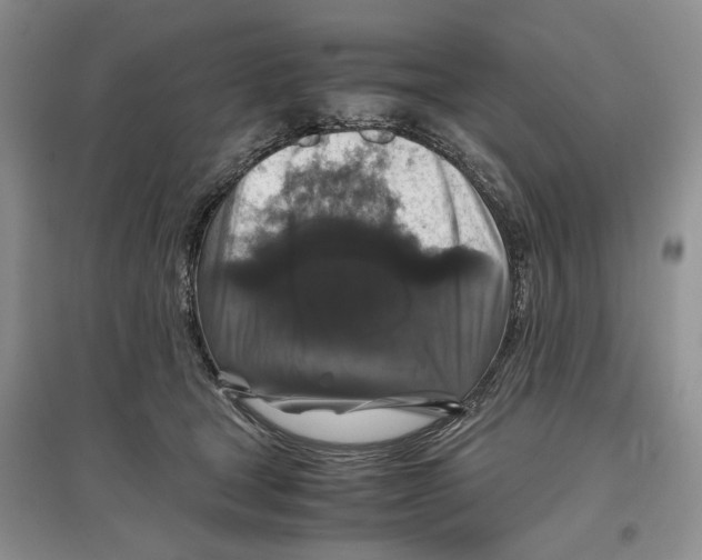 X0000097300465200803141536